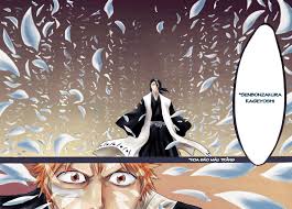 bleach 14