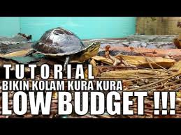 Tutorial Membuat Kolam Kura Unik Low Budget Youtube