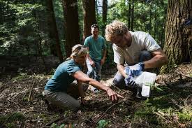 0 0.25 0.5 1 miles th # *property boundaries and trail locations are approximate, map updated march 2019 by j. Nonprofit Helps Nurture Afflicted Habitats At Bear Run Nature Reserve Beyond Triblive Com