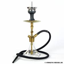 Buy hookah complete set aladin mvp 360 mini shisha (shiny bottom red) on amazon.com free shipping on qualified orders Aladin Mvp360 Gold Edition Kaufen Smoshi De