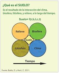 Ilustracion De Que Es El Suelo Geografia E Historia Suelos Historia De Espana