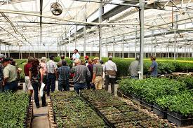 The laboratory has expanded duarte nursery's ability to continue its growth through innovation by making micro propagated clonal rootstocks commercially available for many fruit and nut trees. Duarte Nursery Inc Zap