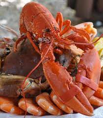 We did not find results for: This Thanksgiving Prepare A Fresh Lobster Shellfish Or Fish Dish