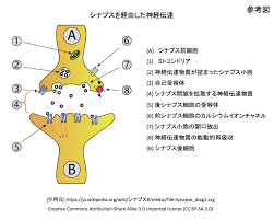 グルタミン酸受容体(GluR δ2)がシナプス形成複合体に組み込まれる構造基盤 : crisp_bio