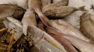 استراحة سلطانة للمأكولات البحرية ذهبان Youtube