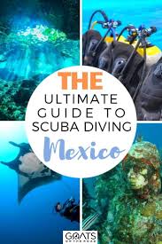 When you depart out of la paz, scuba diving trips can quickly get you to the many scattered, small reef formations in the area. Pin On Travel