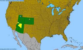 Image result for Asplenium pumilum