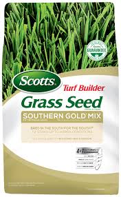 Maybe you would like to learn more about one of these? Scotts Turf Builder Grass Seed Southern Gold Mix For Tall Fescue Lawns Grass Seed Scotts