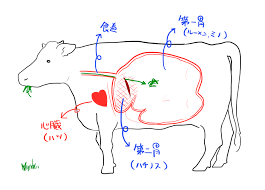FUGANE 株式会社 肉のふがね