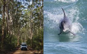 Disebabkan perancangan 'last minute' iaitu seminggu dari tarikh pergi, jadi kami redah saja. Terokai Barat Australia Dengan Road Trip Ini 5 Lokasi Menakjubkan Yang Patut Anda Kunjungi Di Perth Destinasi Mstar