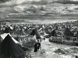 interactive encyclopedia of the ...