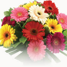 Delivery 6 days a week choose your preferred date. Florist Dublin Flower Shop Balloon Flower Delivery Ireland