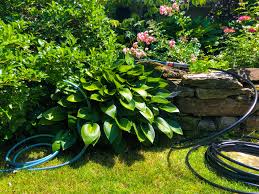 Flow based water leak detection equipment is often recommended for retrofit residential and small commercial applications due to their ability to monitor an entire property for. Automatic Multi Zone Lawn Evehome Com