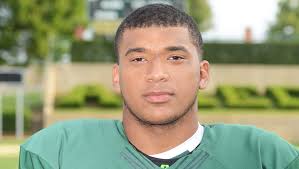 Alma's Dotson rushes for school record in win