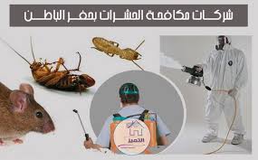 شركة مكافحة حشرات بحفر الباطن افضل شركات مكافحة ورش الحشرات بحفر الباطن In 2020 Jot