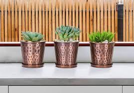 A little bit of water goes a long way. Monarch Abode Copper Finish Indoor Flower Succulent Pots Planter With