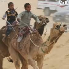 Therefore after extreme pressure from child abuse protection authorities these small children were. Voice Of America Voa Robots To Replace Child Camel Jockeys Facebook
