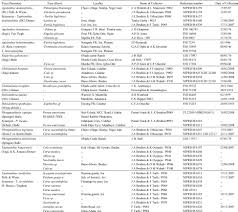 Image result for Agelanthus terminaliae