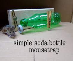 Diy Simple Soda Bottle Mousetrap Homemade Mouse Traps Soda Bottles Mouse Trap Diy