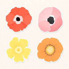 Pin On Best Stock Images And Creative Resources