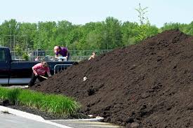 Journée de l'environnement à DMV 2023