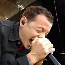 Lincoln Park Unplugging Mic