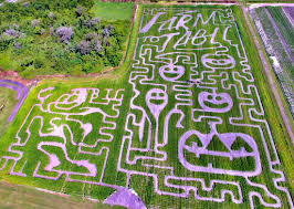 MOUNT DORA'S GIANT CORN MAZE OPENS OCT. 3