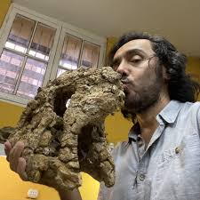 His family and wild imagination allowed him to escape from his impoverished upbringing. Understanding The Extreme Diversification Of Neogene Long Snouted Crocodylians In Northern South America Rodolfo Salas Gismondi 1 Updates 1 Publications Research Project