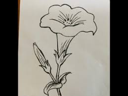 We've shipped millions of items worldwide for our 1+ million artists. How To Draw A Flower Step By Step Easy Drawing Datura Youtube