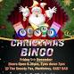 Christmas Bingo - The Snooty Fox, Martletwy Event Image