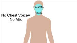 If you speak in everyday conversations, you will be able to feel your chest vibrate, which is what your chest voice is. Head Voice Vs Falsetto The Truth Revealed Ramsey Voice Studio