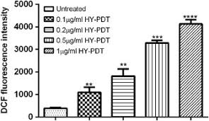 2º 30′ 0.00″ n, 112º 30′ 0.00″ e. Hypericin Photodynamic Therapy Leads To Interleukin 6 Secretion By Hepg2 Cells And Their Apoptosis Via Recruitment Of Bh3 Interacting Domain Death Agonist And Caspases Cell Death Disease