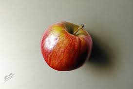 Learn how to draw realistic fruit with colored pencils. 35 Latest Drawing Realistic Apple Outline Barnes Family