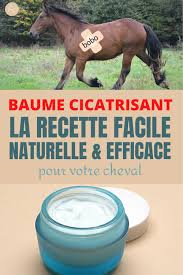 Epingle Sur Horses