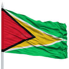 Resultado de imagen de Bandera de Guyana