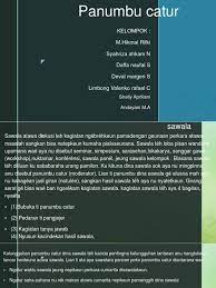 Maybe you would like to learn more about one of these? Panumbu Catur