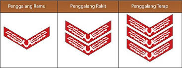 Duo bunga teman duet lucinta, ratna pandita. Pramuka Penggalang Wikipedia Bahasa Indonesia Ensiklopedia Bebas