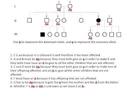 Pedigree Charts Worksheet S Best Picture Of Chart Anyimage Org