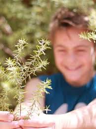 New England Botanic Garden at Tower Hill Jan & Feb 2023 Events Bulletin by  New England Botanic Garden at Tower Hill