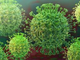 The b.1.617 or double mutant indian variant carries two mutations including the l452r and e484q which have been seen separately before in other experts in india have expressed concern about the purported high transmissibility of double mutant variant as almost 60% of all positive cases in india's. New Covid 19 Variant Latest News Videos Photos About New Covid 19 Variant The Economic Times