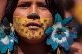 Indigenous groups gathering in Brazil's capital to protest president's land  grant decisions