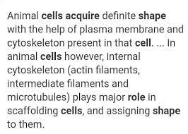 We did not find results for: How Do Cell Acquire Different Shape And Function Who Will Give Right Answer I Will Follow That Brainly In