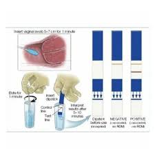 Image result for AmniSure ROM Test