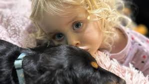 Fundraiser for Brendan Horne by Brittany Mason : Help 3-Year-Old Annabelle  Fight Leukemia