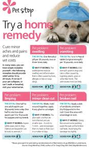 Aa57712df41b43ed463092b0b970a219 Jpg 736 1221 Dog Remedies Pet Remedies Dog Care