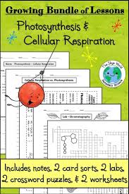 This Bundle Of Lessons Will Prepare Students To Differentiate Between The Proce Photosynthesis And Cellular Respiration Cellular Respiration 10th Grade Science