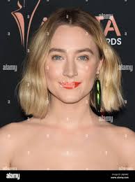 111 3 hi-res stock photography and images