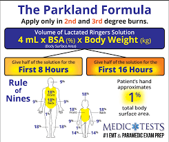 Pin On Educational Medical Diagrams