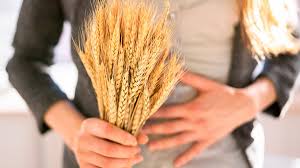 images?q=tbn:ANd9GcQ-msNtN7dnd0AuiwKJkbAnUu-pe_WedXCSMQ&s