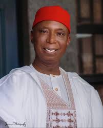 Here is the picture of sentor Ned Nwoko and his Six Wives